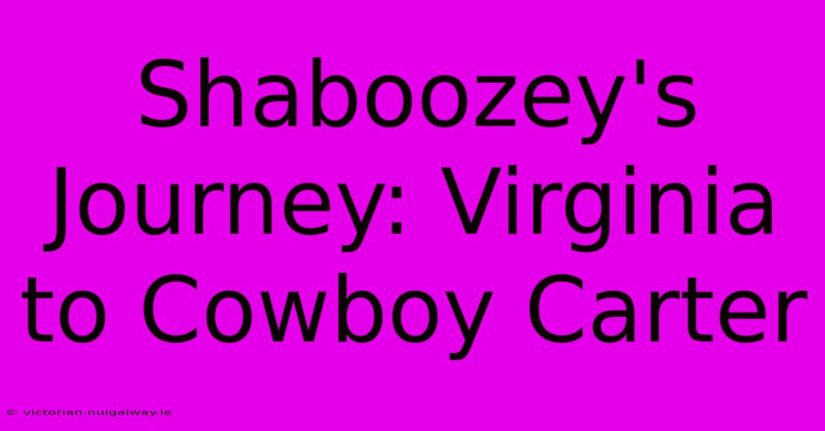 Shaboozey's Journey: Virginia To Cowboy Carter