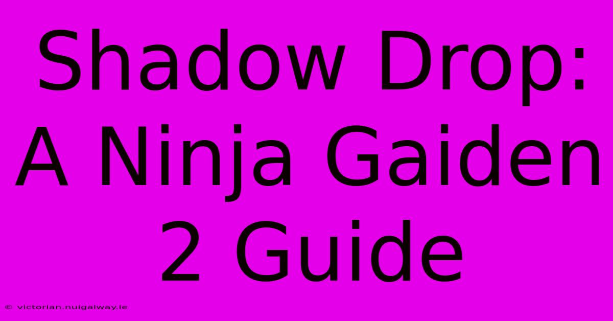 Shadow Drop: A Ninja Gaiden 2 Guide