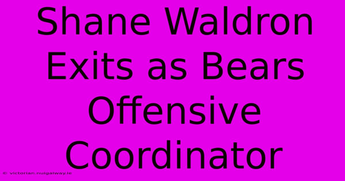 Shane Waldron Exits As Bears Offensive Coordinator