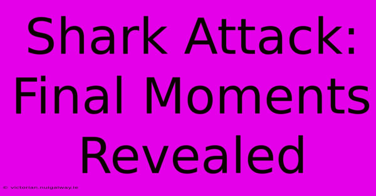 Shark Attack: Final Moments Revealed