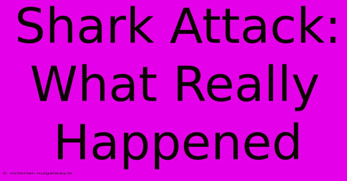 Shark Attack: What Really Happened