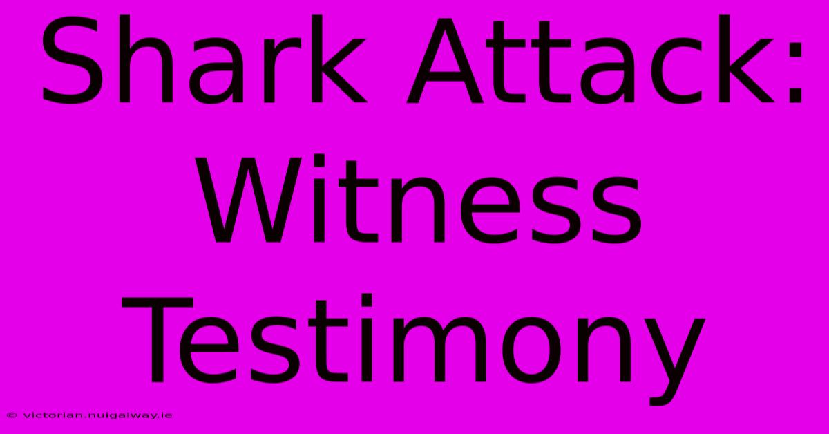 Shark Attack: Witness Testimony