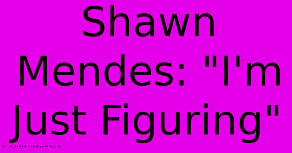 Shawn Mendes: 