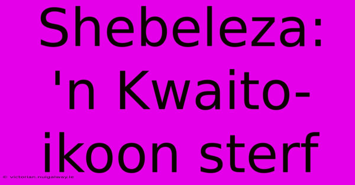 Shebeleza: 'n Kwaito-ikoon Sterf