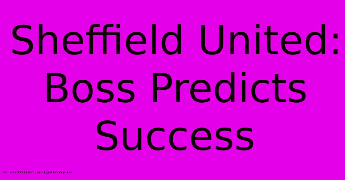 Sheffield United: Boss Predicts Success