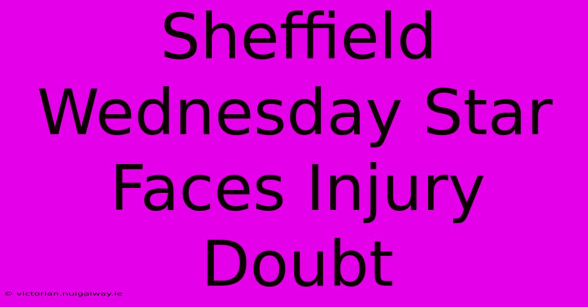 Sheffield Wednesday Star Faces Injury Doubt