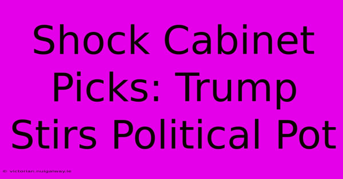 Shock Cabinet Picks: Trump Stirs Political Pot