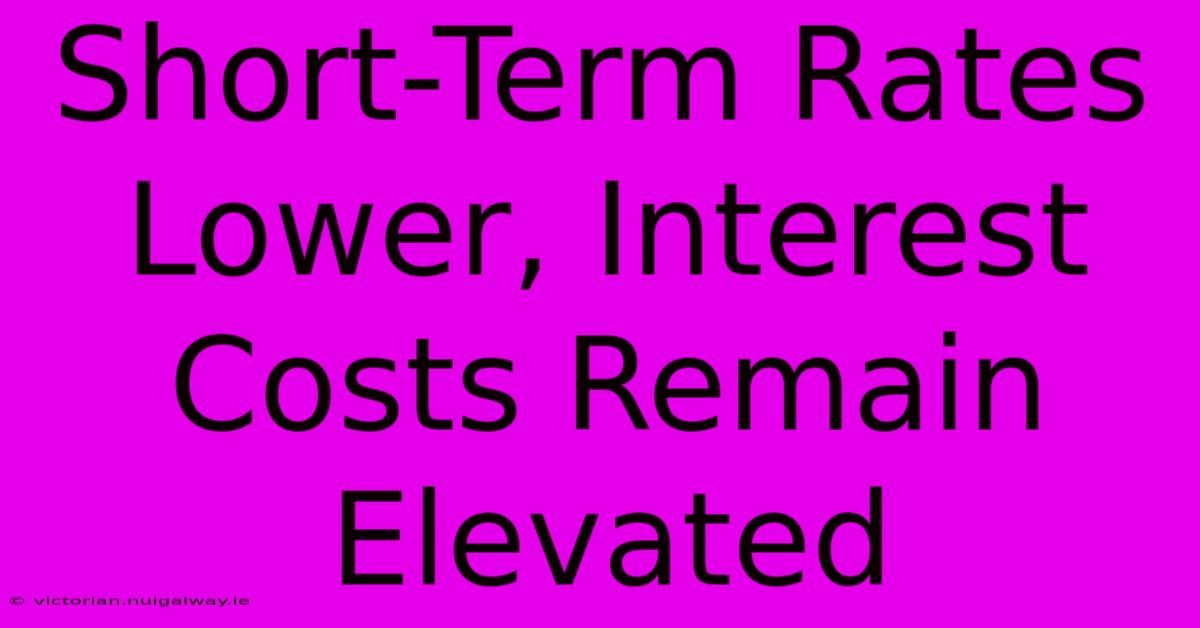 Short-Term Rates Lower, Interest Costs Remain Elevated