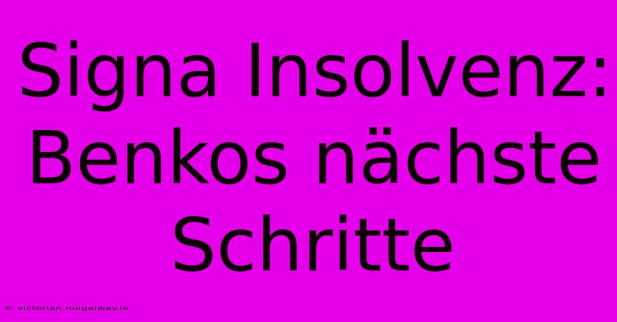 Signa Insolvenz: Benkos Nächste Schritte