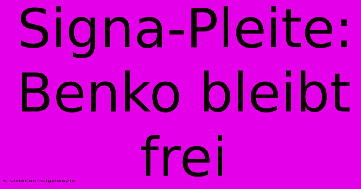 Signa-Pleite: Benko Bleibt Frei