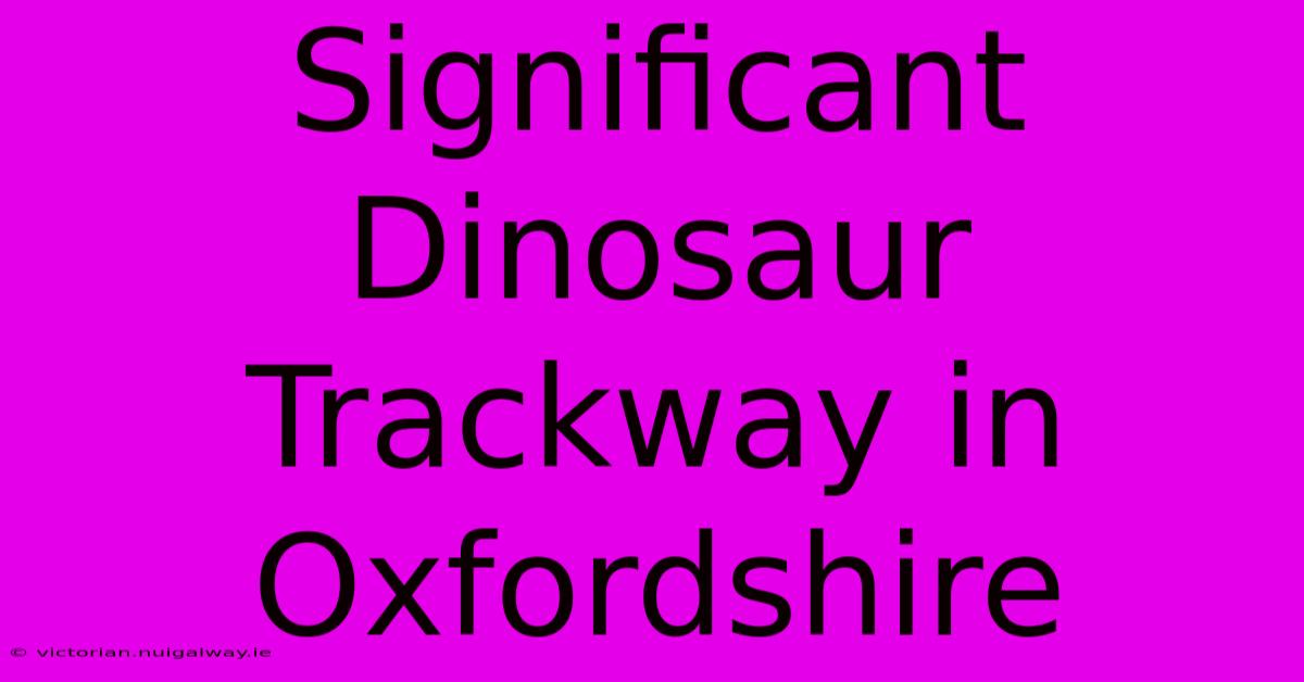 Significant Dinosaur Trackway In Oxfordshire