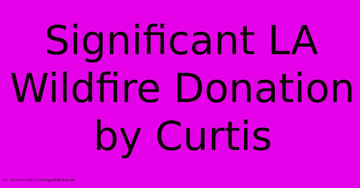 Significant LA Wildfire Donation By Curtis