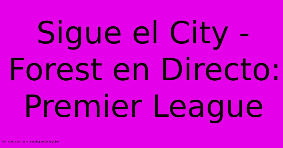 Sigue El City - Forest En Directo: Premier League