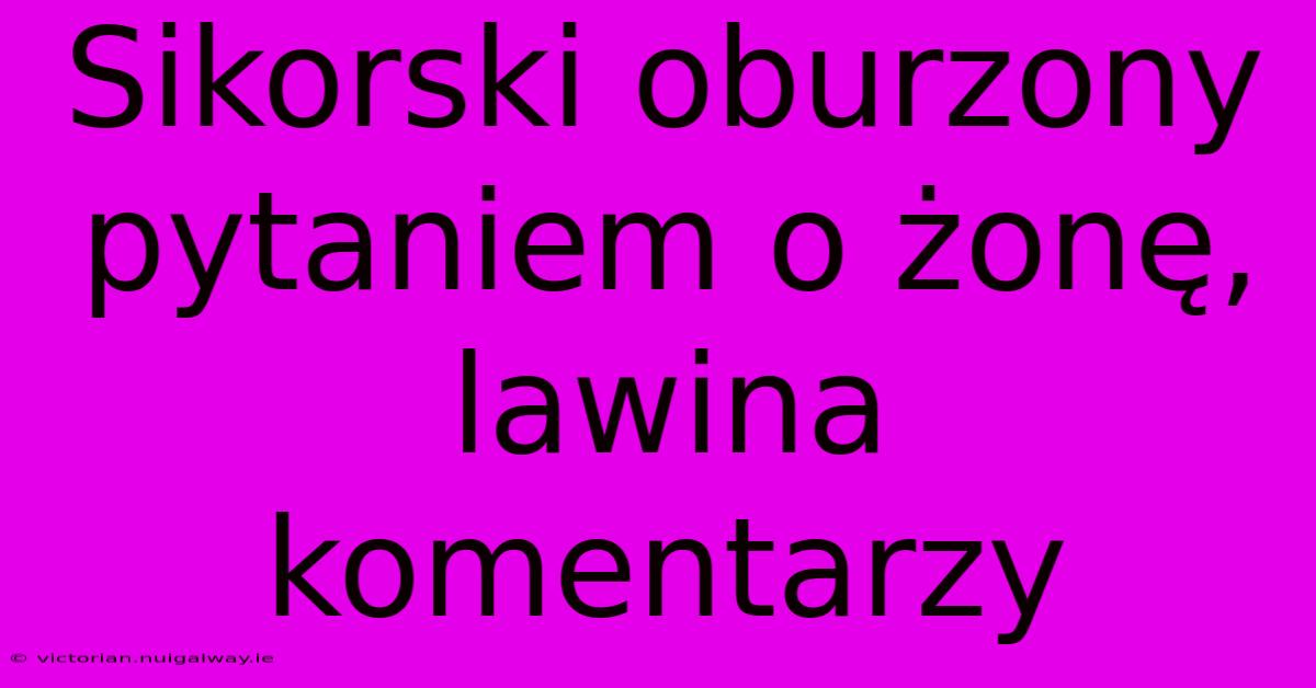 Sikorski Oburzony Pytaniem O Żonę, Lawina Komentarzy