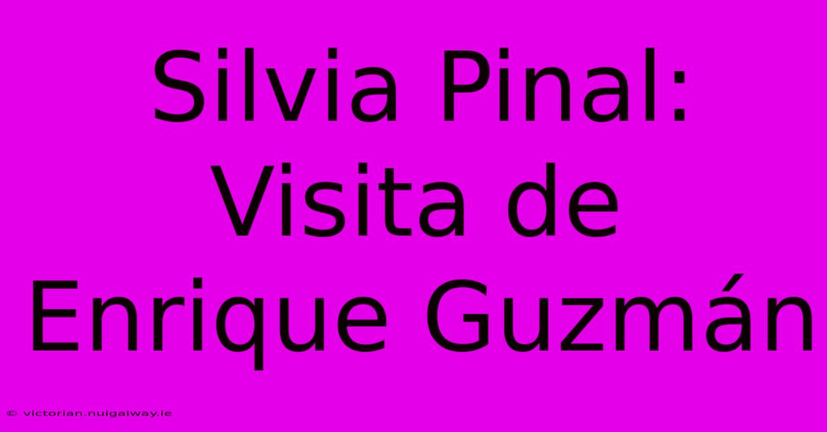 Silvia Pinal: Visita De Enrique Guzmán