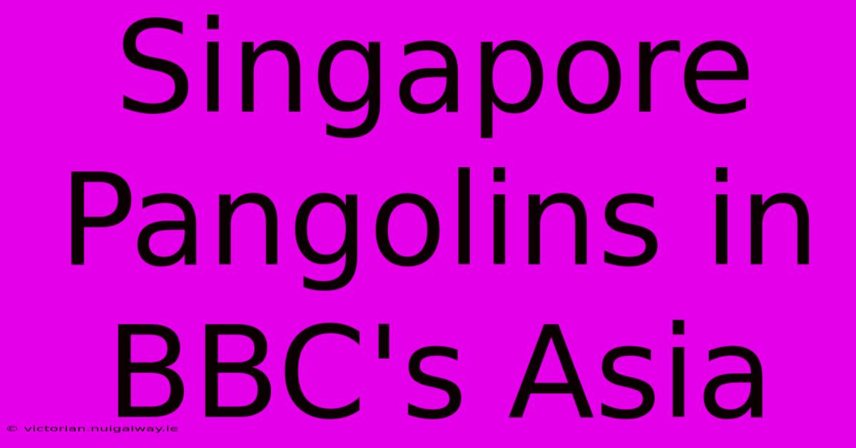 Singapore Pangolins In BBC's Asia