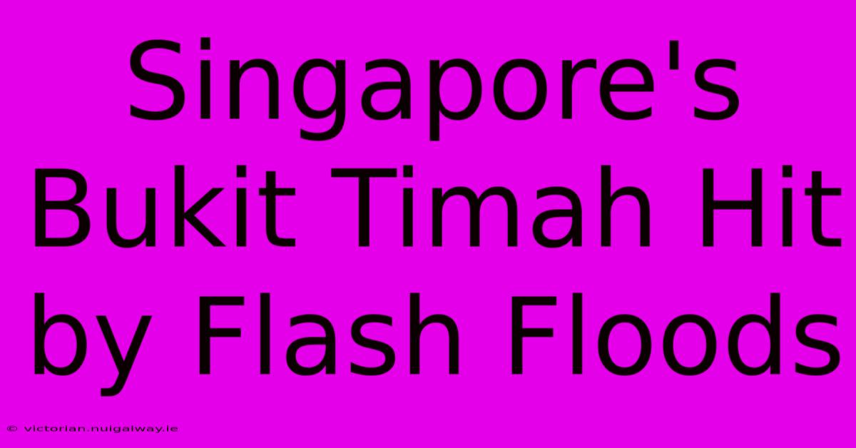 Singapore's Bukit Timah Hit By Flash Floods