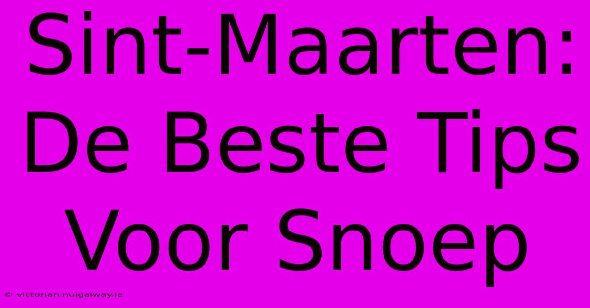 Sint-Maarten: De Beste Tips Voor Snoep 