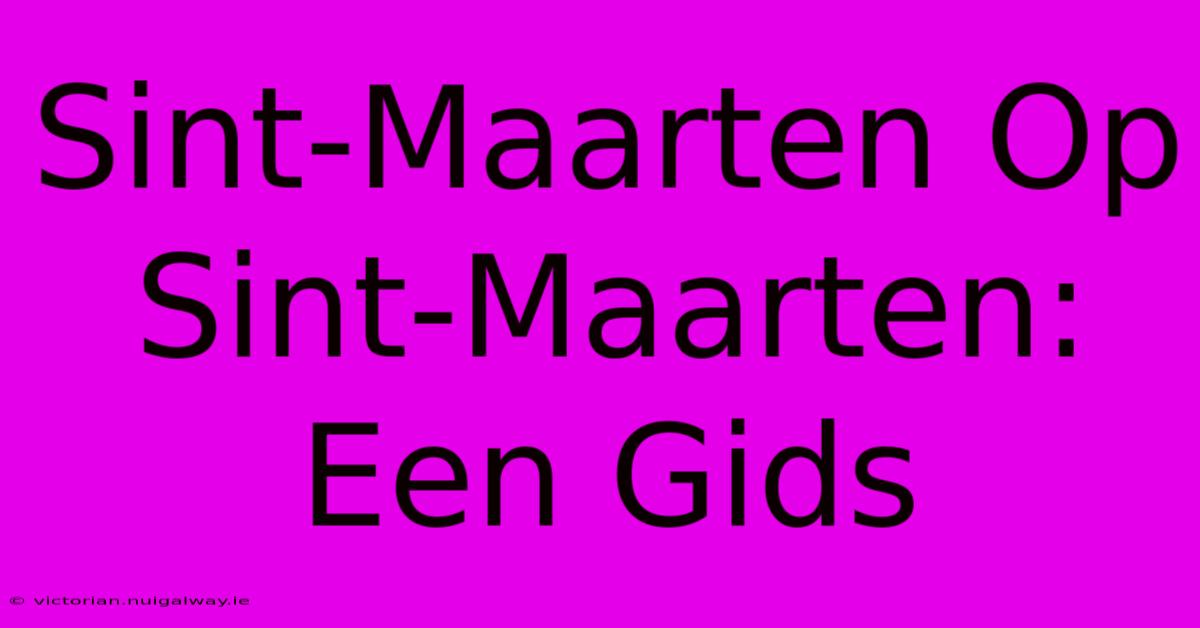 Sint-Maarten Op Sint-Maarten: Een Gids