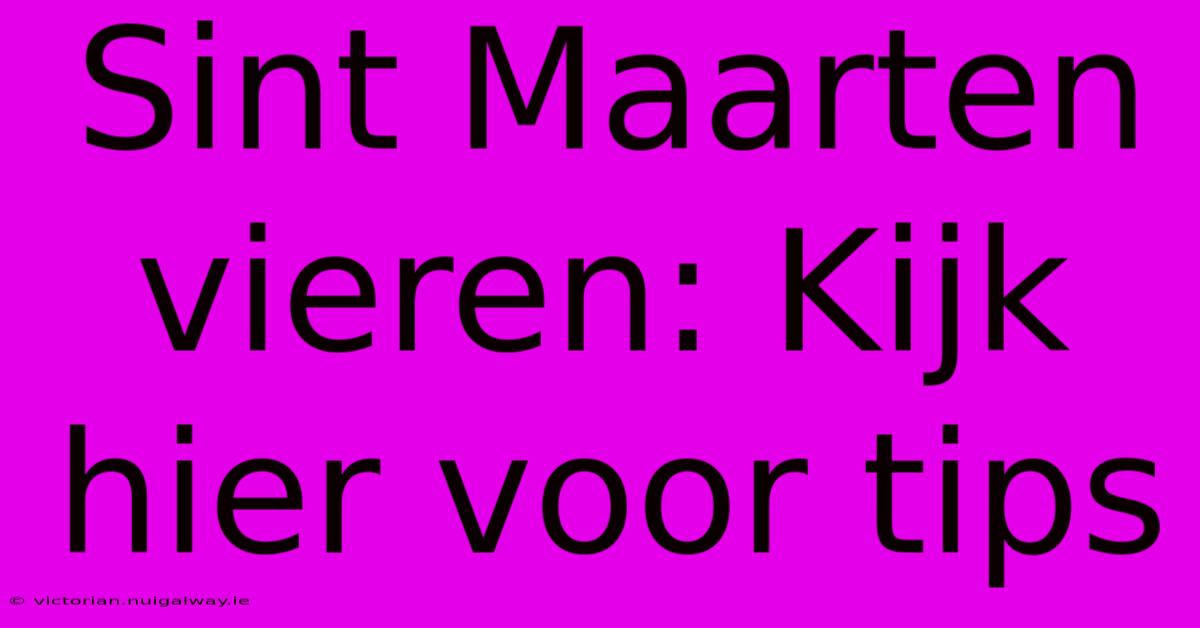 Sint Maarten Vieren: Kijk Hier Voor Tips