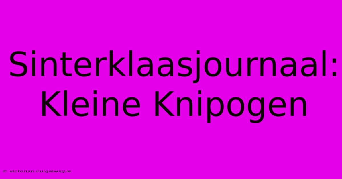 Sinterklaasjournaal: Kleine Knipogen