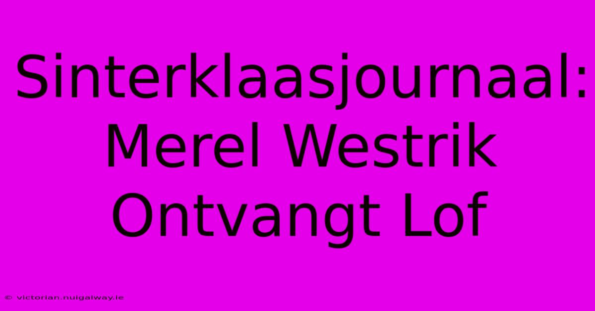 Sinterklaasjournaal: Merel Westrik Ontvangt Lof