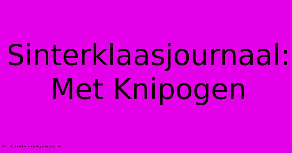 Sinterklaasjournaal: Met Knipogen