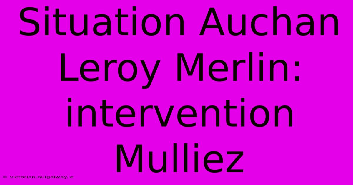 Situation Auchan Leroy Merlin: Intervention Mulliez