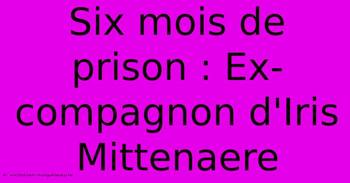 Six Mois De Prison : Ex-compagnon D'Iris Mittenaere