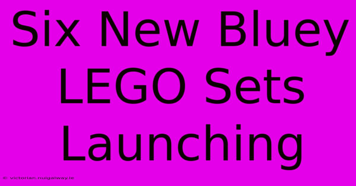 Six New Bluey LEGO Sets Launching