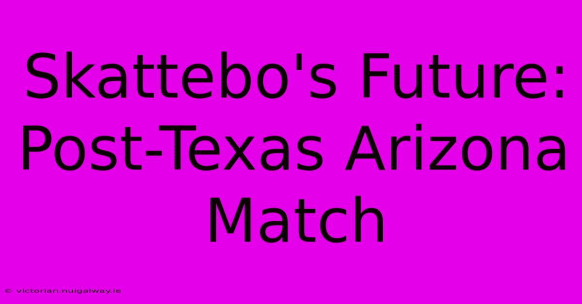 Skattebo's Future: Post-Texas Arizona Match