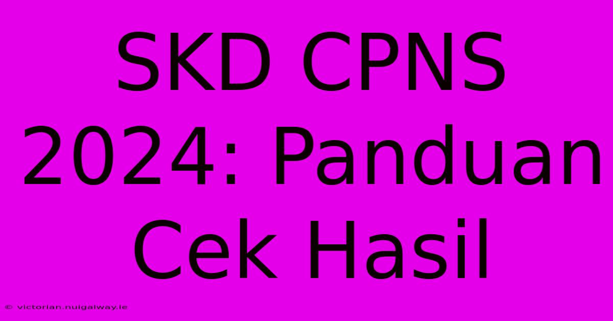 SKD CPNS 2024: Panduan Cek Hasil