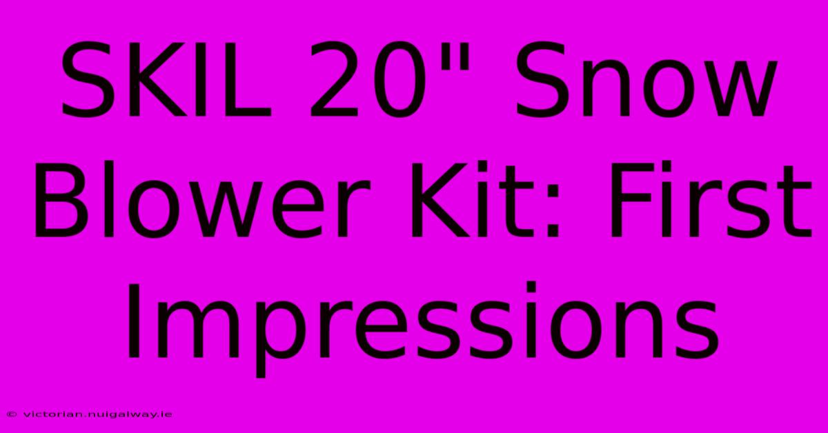 SKIL 20