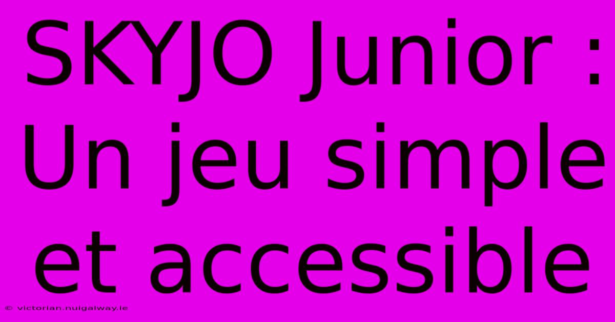 SKYJO Junior : Un Jeu Simple Et Accessible 