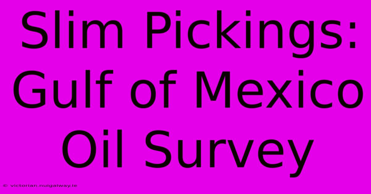 Slim Pickings: Gulf Of Mexico Oil Survey