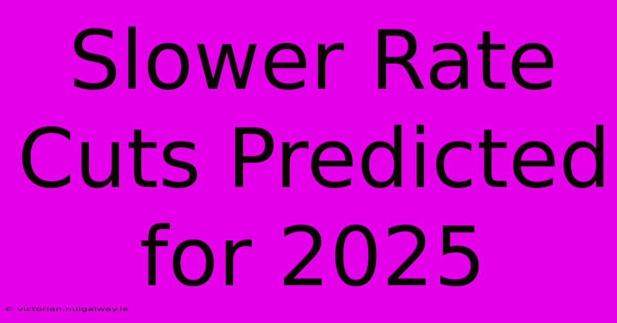 Slower Rate Cuts Predicted For 2025