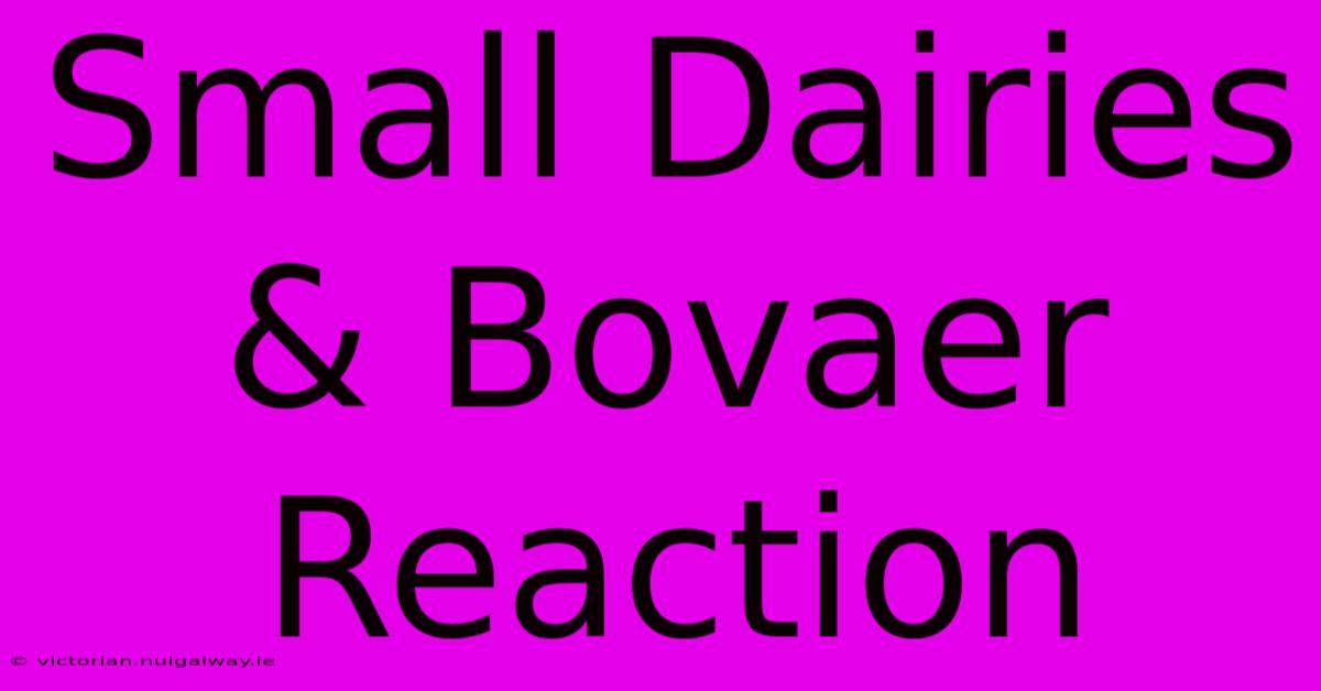 Small Dairies & Bovaer Reaction