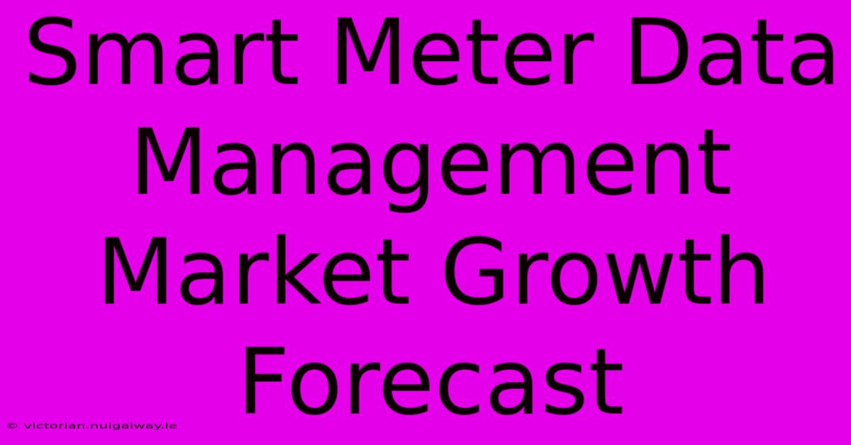 Smart Meter Data Management Market Growth Forecast