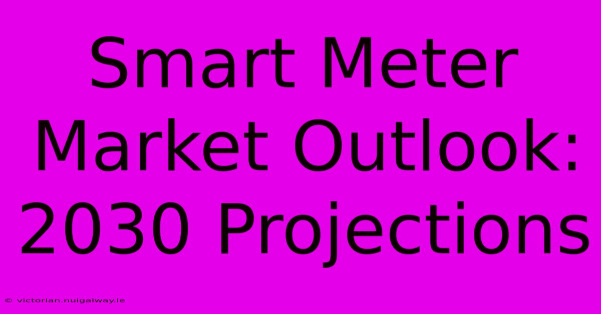 Smart Meter Market Outlook: 2030 Projections