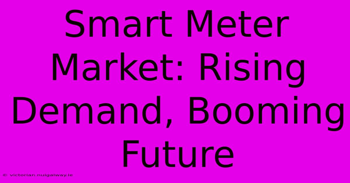 Smart Meter Market: Rising Demand, Booming Future