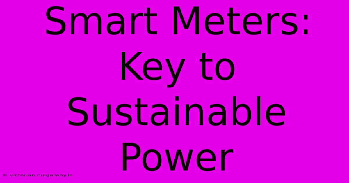 Smart Meters: Key To Sustainable Power