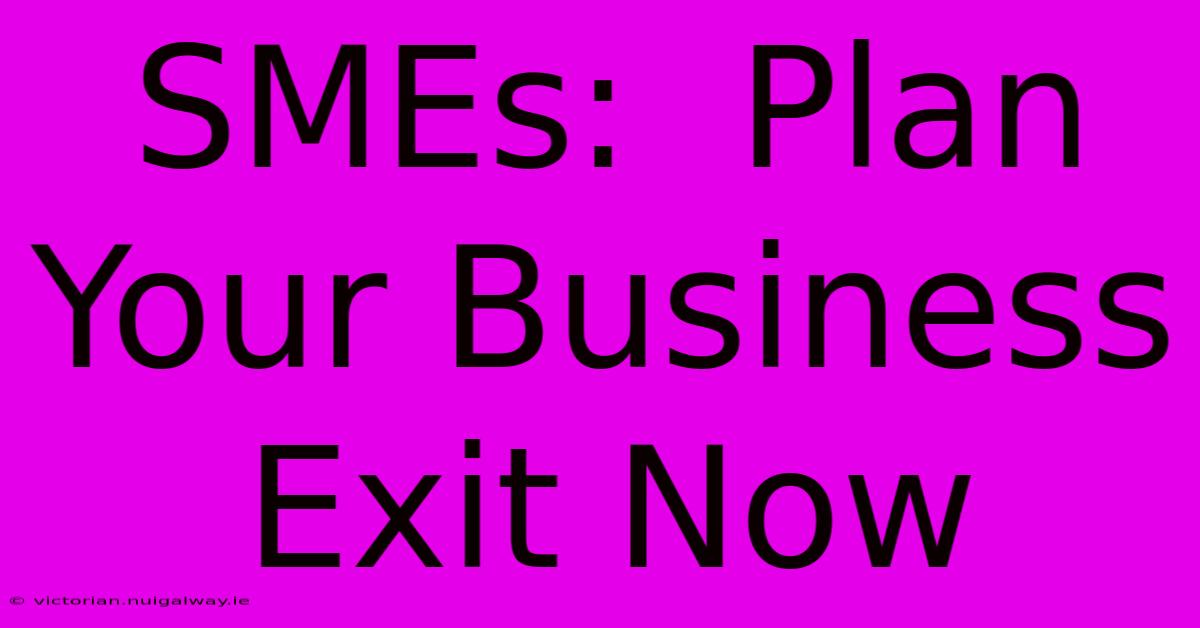 SMEs:  Plan Your Business Exit Now