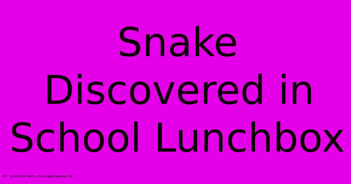 Snake Discovered In School Lunchbox 