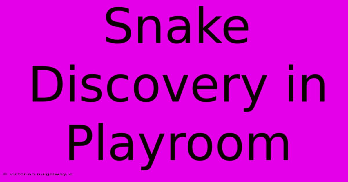 Snake Discovery In Playroom