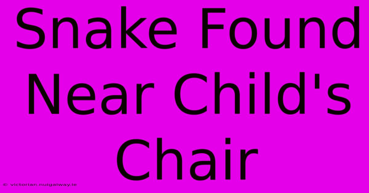 Snake Found Near Child's Chair