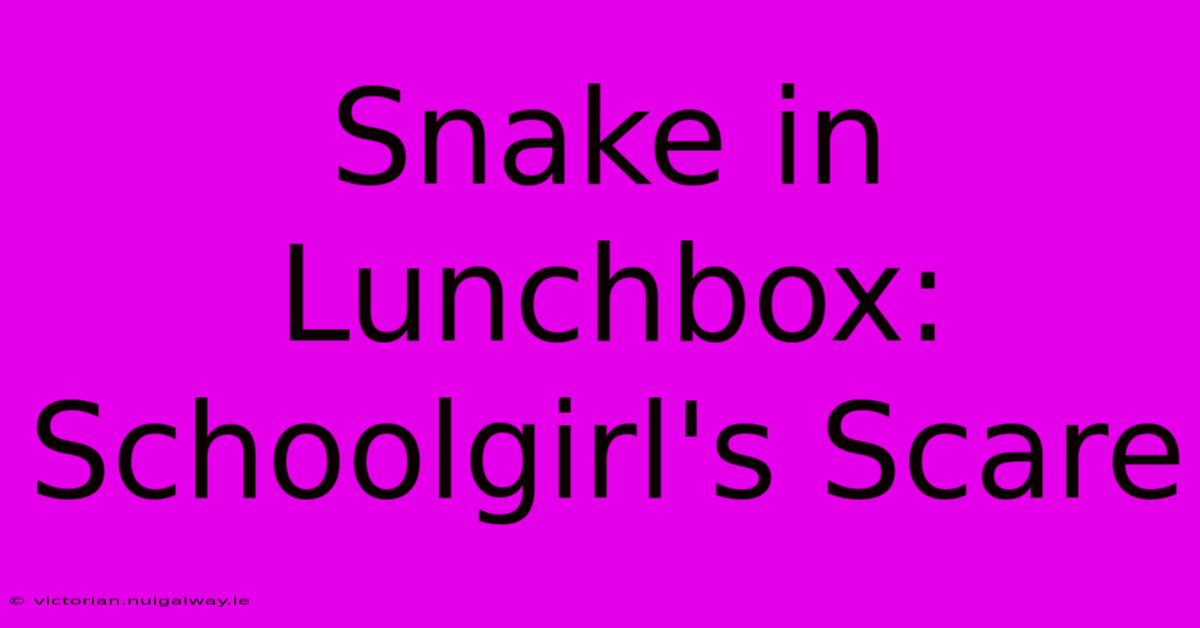 Snake In Lunchbox: Schoolgirl's Scare