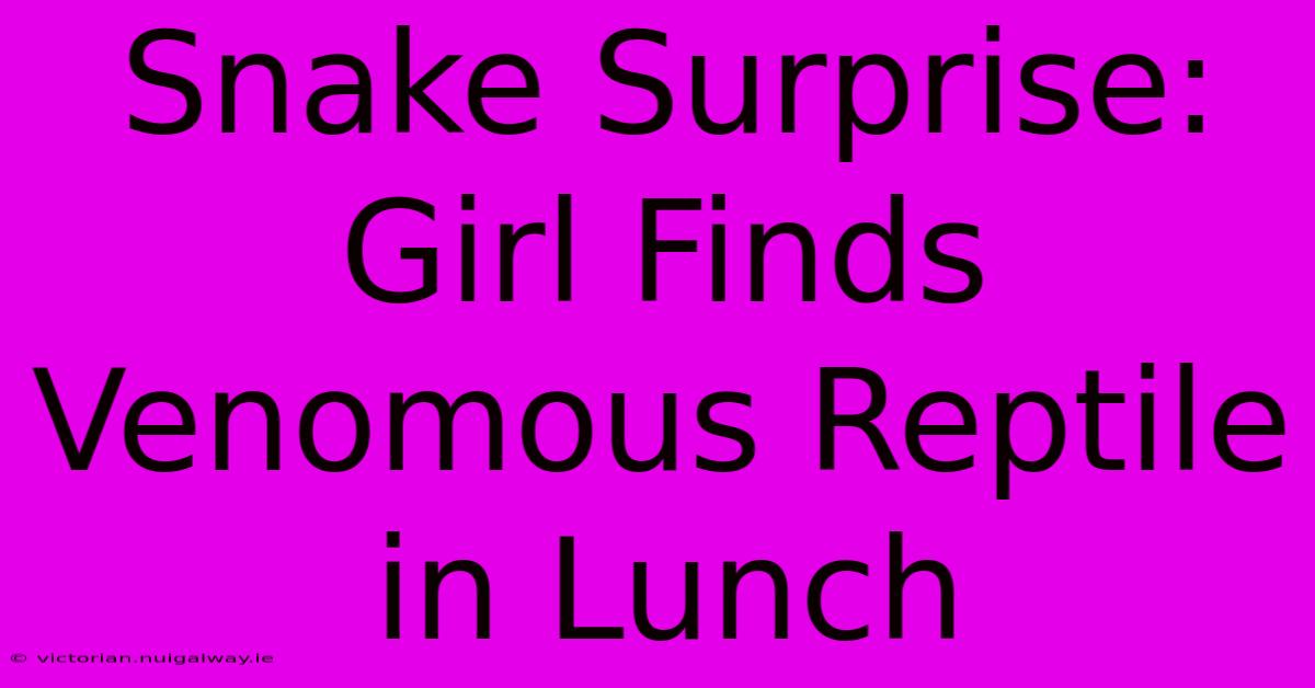 Snake Surprise: Girl Finds Venomous Reptile In Lunch