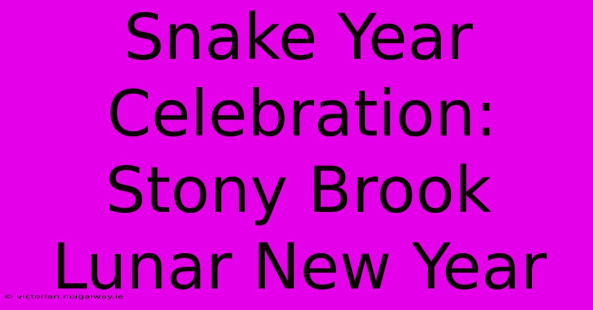 Snake Year Celebration: Stony Brook Lunar New Year