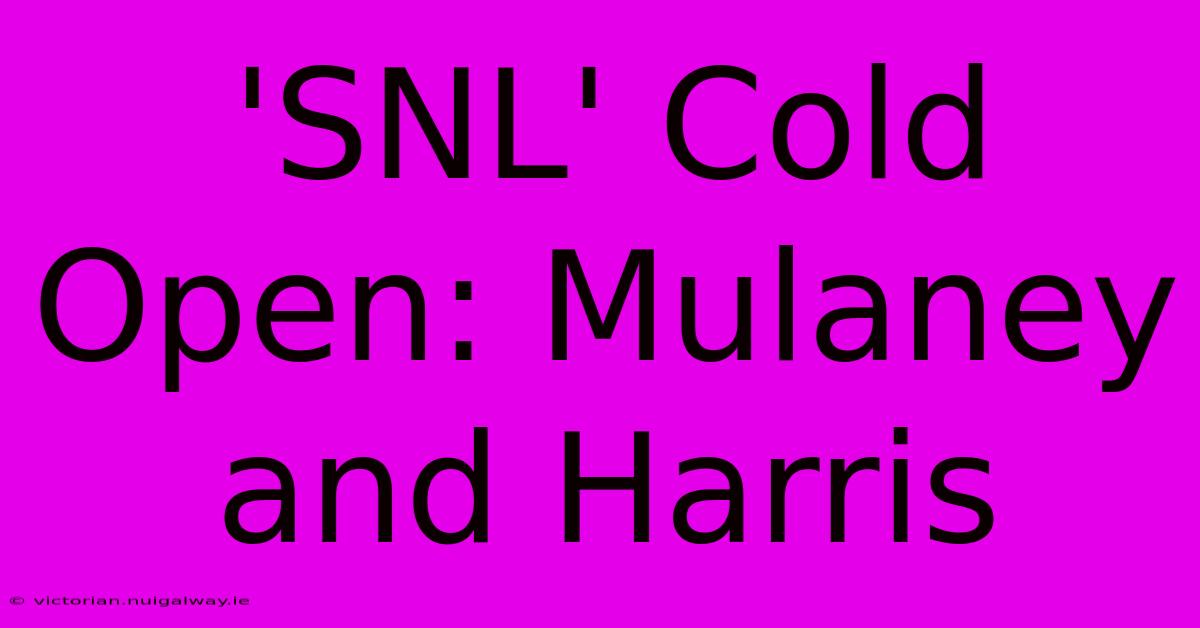 'SNL' Cold Open: Mulaney And Harris