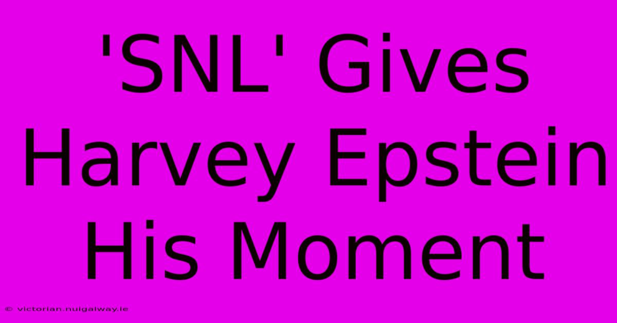 'SNL' Gives Harvey Epstein His Moment